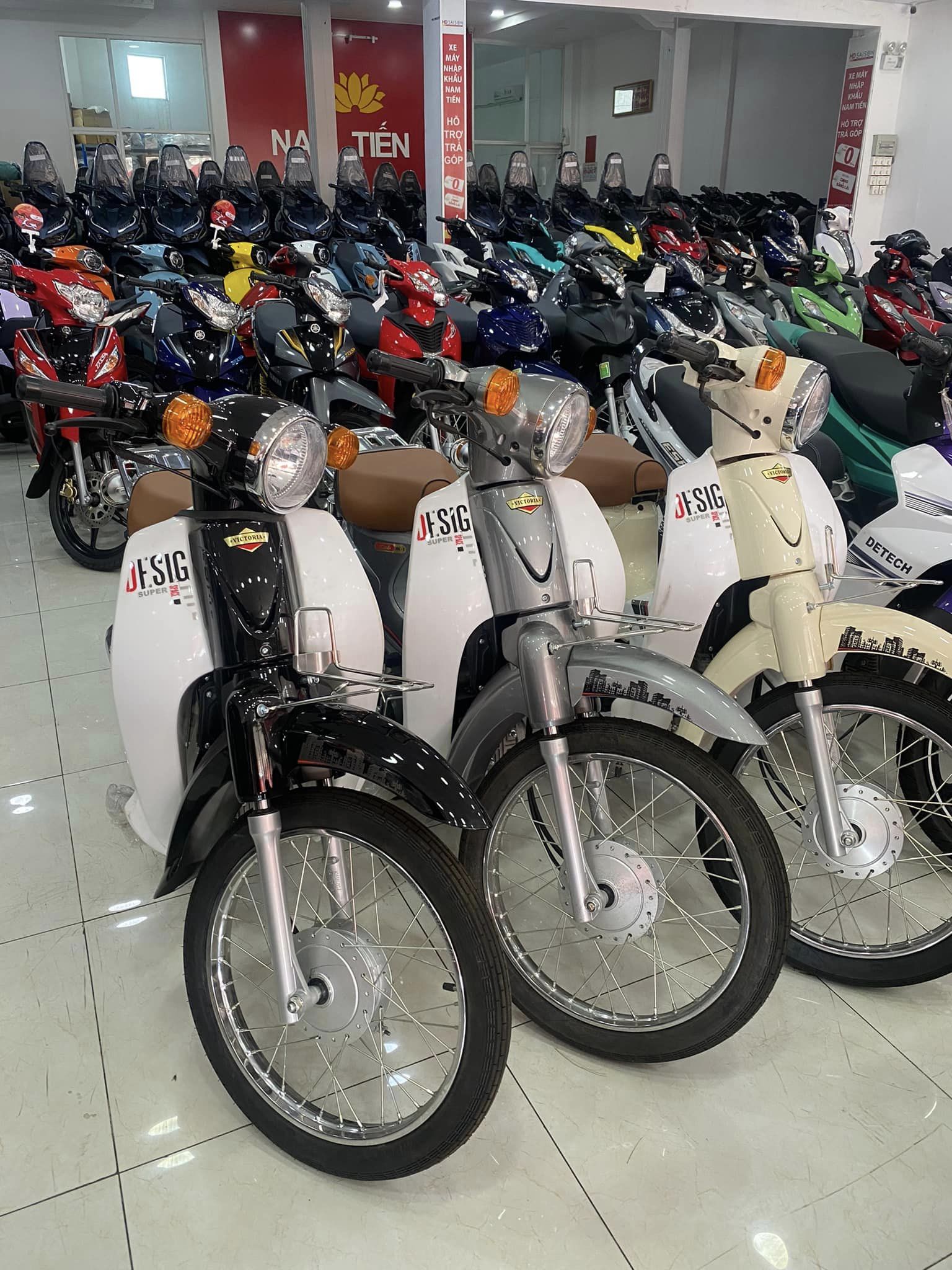 xe-cub-p50cc-victoria